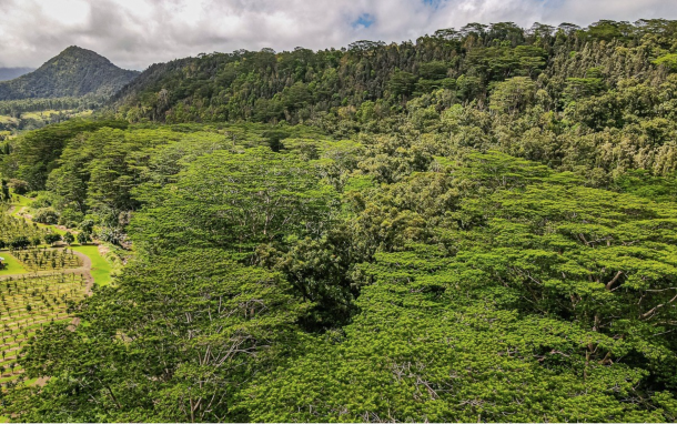 Moa'ula Lot 30